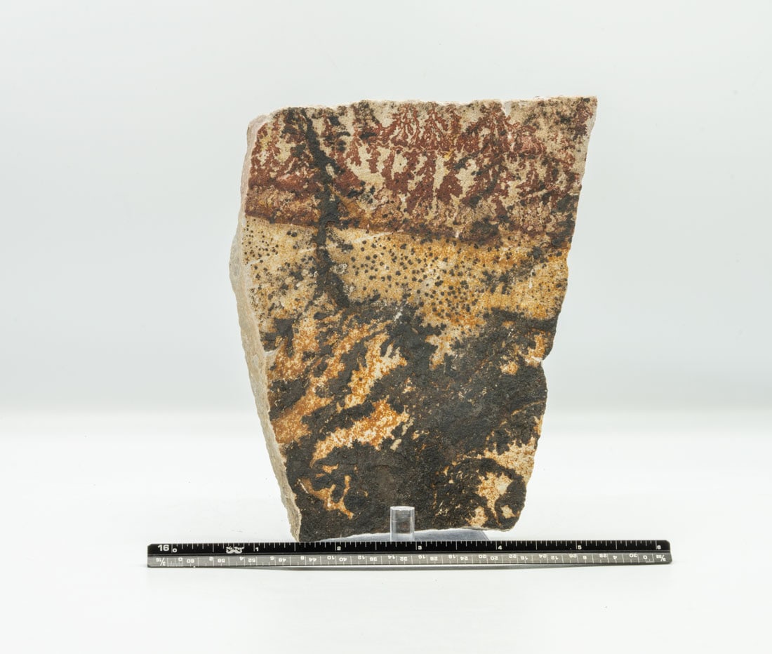 Double-sided Utah Dendrite: Double-sided Utah dendrite. 1.11 pounds.