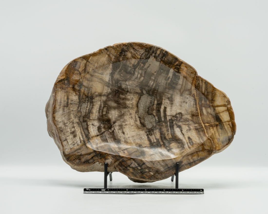 Large Carved Petrified Wood Bowl: Large carved petrified wood bowl. 10.6 pounds.