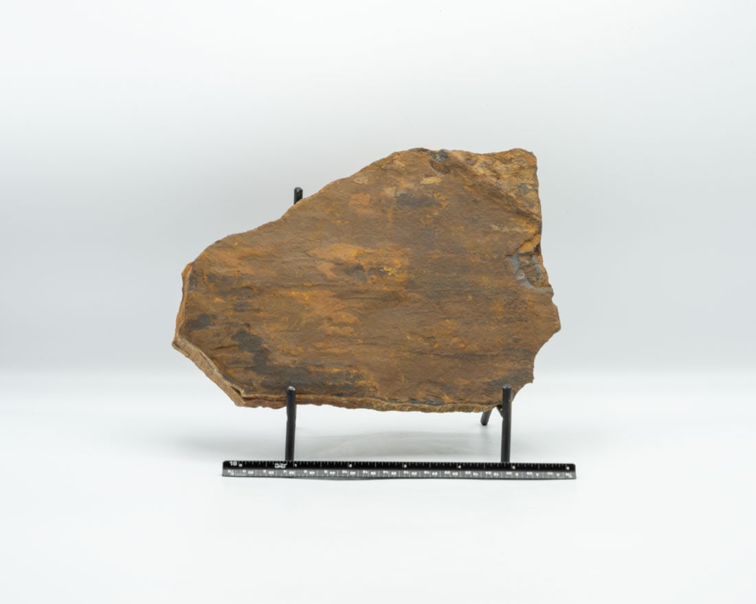 Unpolished Tiger's Eye Slab: Unpolished tiger's eye slab from India.7.5" x 5.25" x 1". 3.8 pounds.