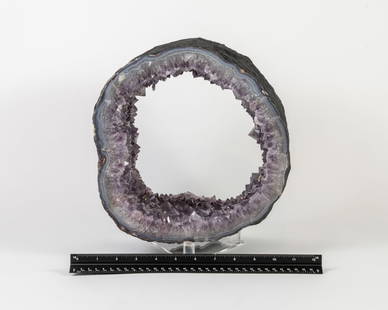 Thick Amethyst Geode Ring: Amethyst geode cross-section ring with unique cactus amethyst extrusions. 11" x 11" x 6". 21.2 pounds.