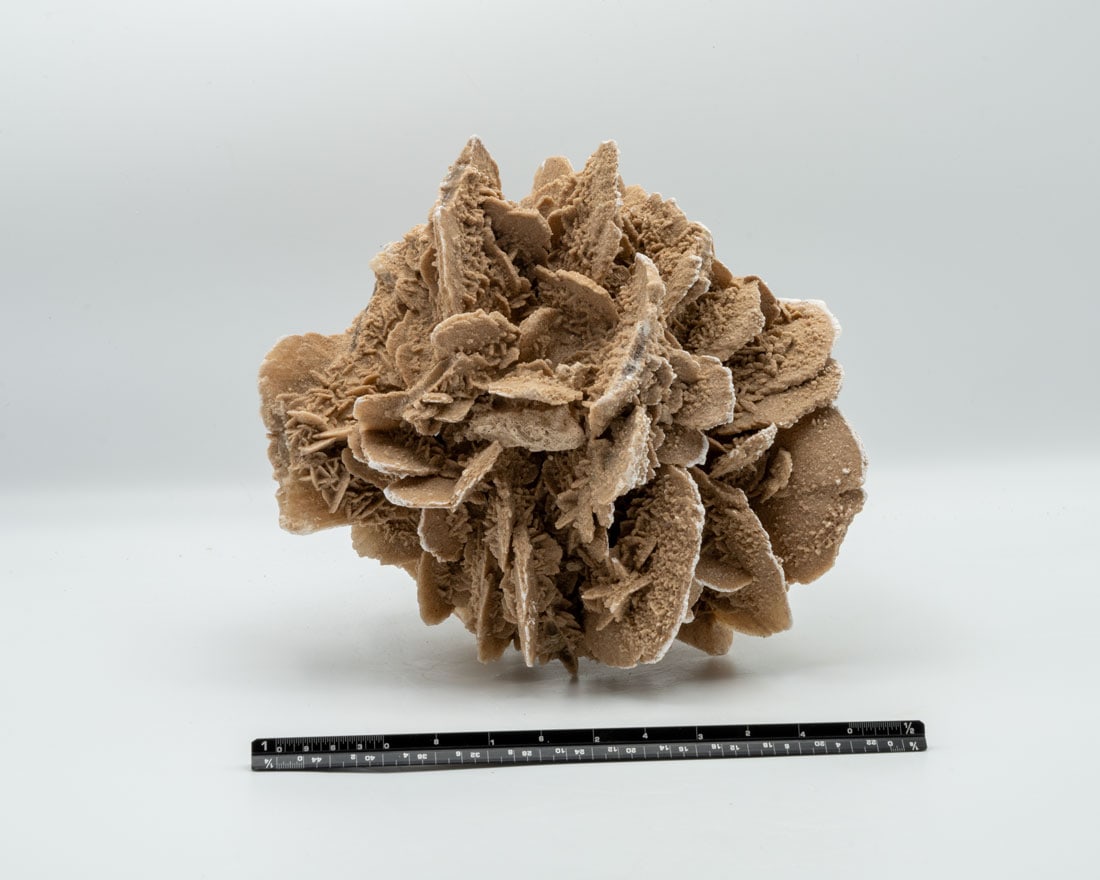 Desert Rose Selenite Formation (1 of 4)