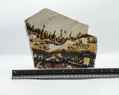 Large Double-Sided Utah Dendrite on Acrylic Base: Large double-sided, scenic, landscape-like Utah dendrite on acrylic base. 7.75" x 8" x 3". 6.14 pounds.