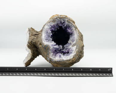 Deep Purple Amethyst Geode with Polished Rim: Deep purple amethyst geode with a polished rim from Uruguay. 7.5" x 10" x 7". 13.2 pounds.