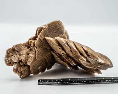 Desert Rose Selenite Blade Formation: Desert rose selenite formation with intersecting blades. 3.75" x 7" x 5". 1.13 pounds.