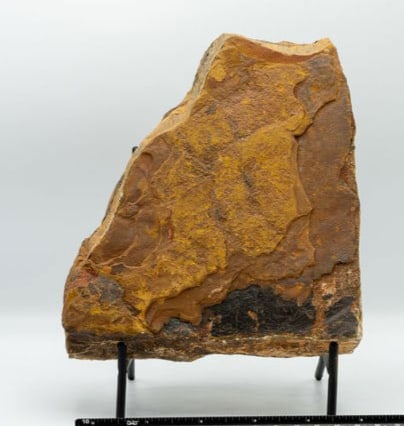 Unpolished Tiger's Eye Slab: Unpolished tiger's eye slab from India. 7" x 6" x 1.5". 4 pounds, 1 ounce.