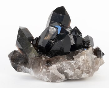 Dark Smoky Quartz Cluster