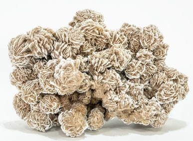 Huge Desert Rose Selenite Formation