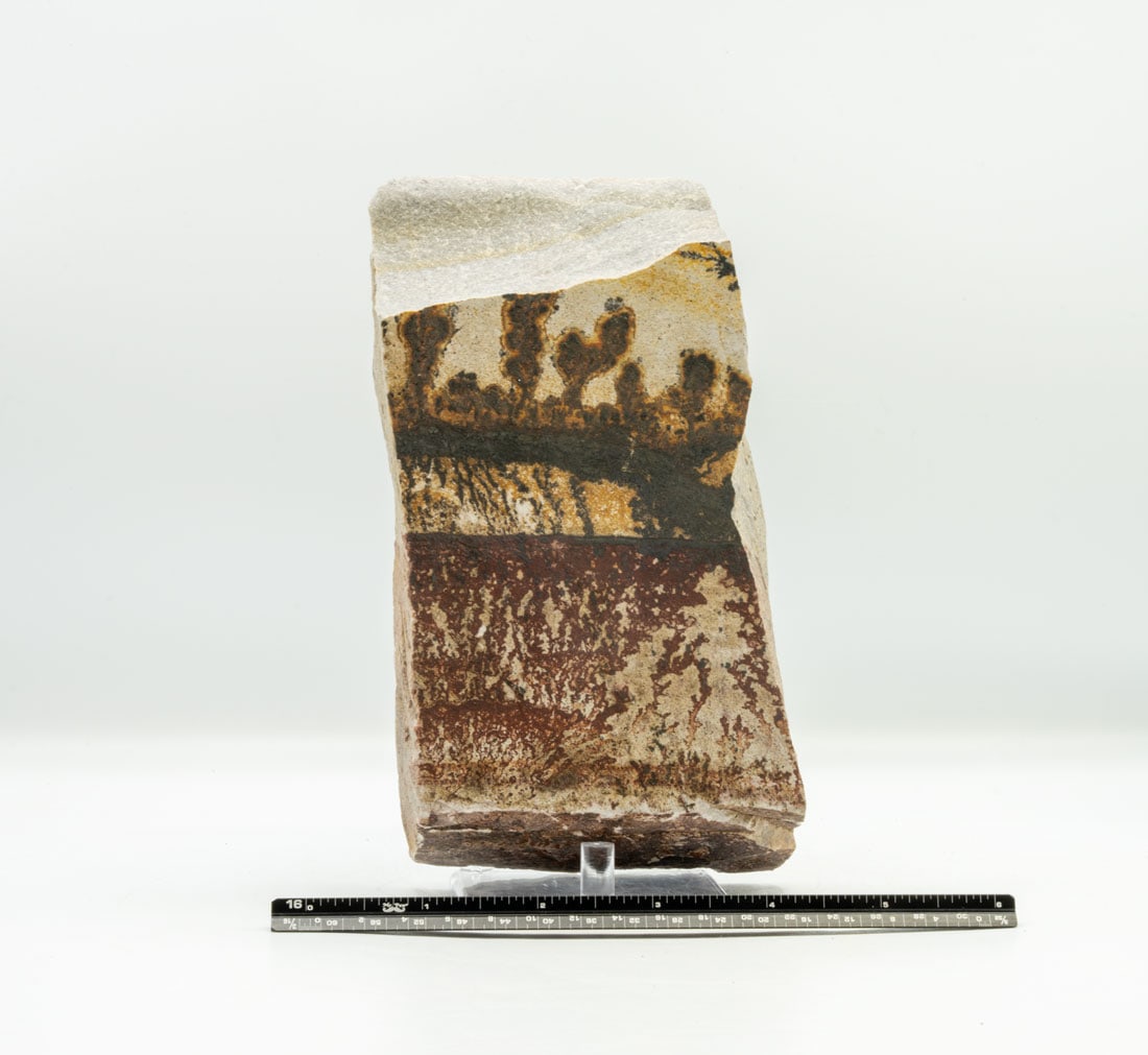 Double-sided Utah Dendrite: Double-sided Utah dendrite. 7” x 4” x 2”. 3 pounds, 1 ounce.