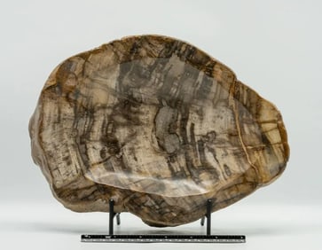 Carved Petrified Wood Bowl
