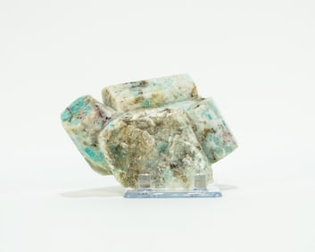 Polished Amazonite Crystals in Matrix