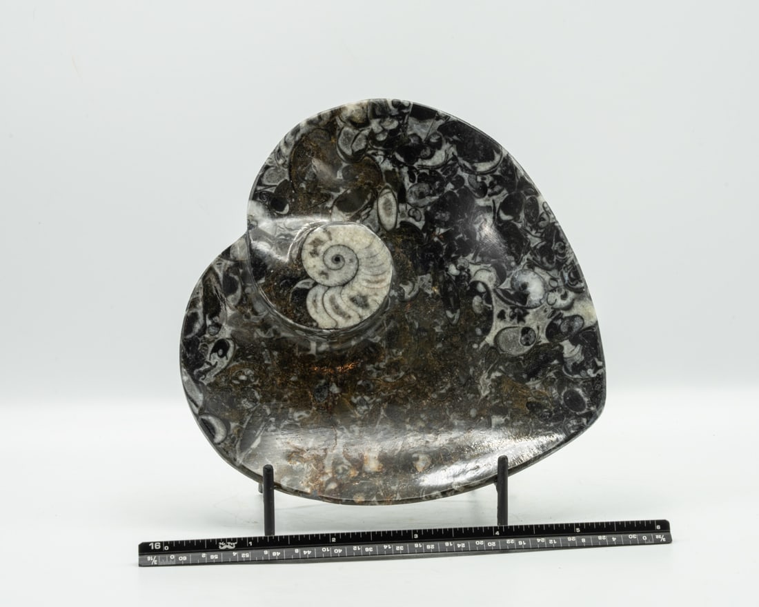 Orthoceras Fossil Heart Dish: Heart-shaped orthoceras fossil dish. 5.5" x 5.75" x 1". 1 pound.