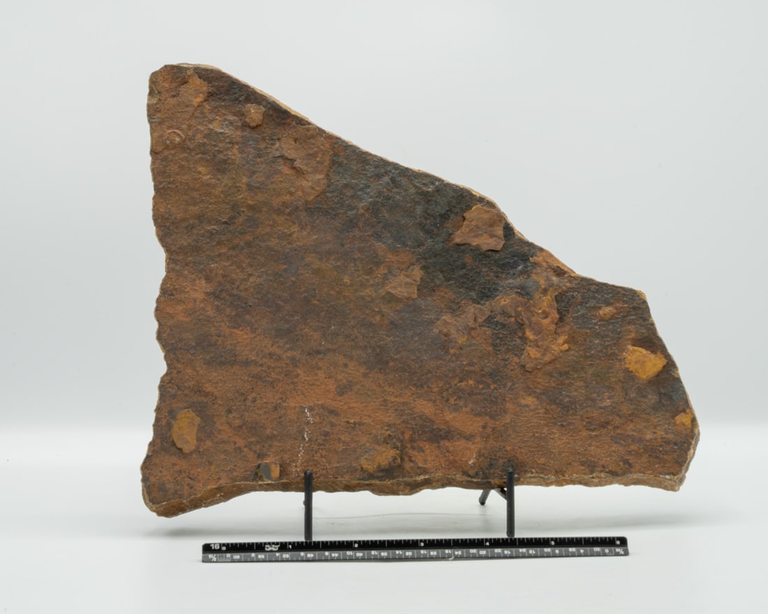 Unpolished Tiger's Eye Slab: Unpolished tiger's eye slab from India. 9" x 7.5" x 1.125". 4.8 pounds.