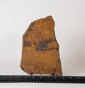 Unpolished Tiger's Eye Slab