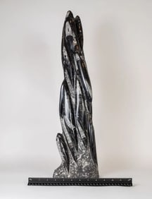 Two Feet Tall Orthoceras Fossil Tower