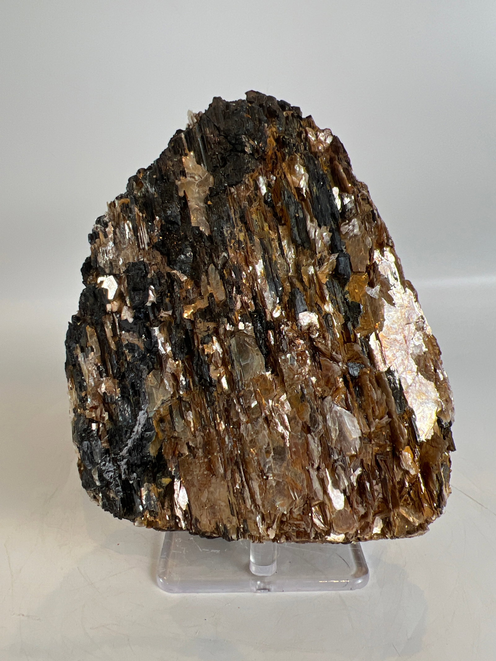 Black Tourmaline and Golden Mica Formation: Black tourmaline and golden mica formation. 5" x 4" x 2". 2 pounds, 6 ounces.