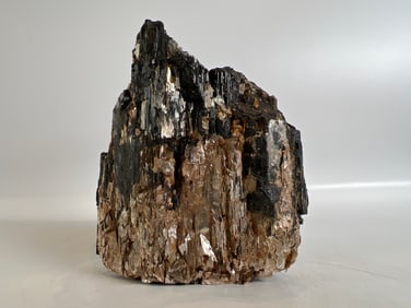 Black Tourmaline and Golden Mica Formation