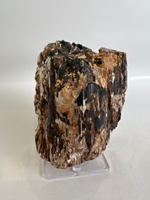 Black Tourmaline and Golden Mica Formation