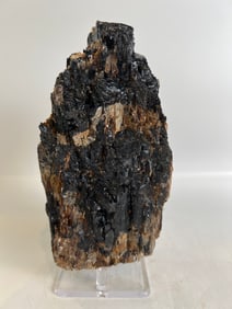 Black Tourmaline and Golden Mica Formation