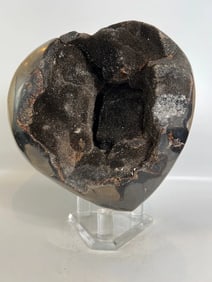 Huge Septarian Dragon Egg Heart
