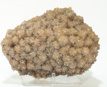 Magnificent Dogtooth Calcite Flower Formation