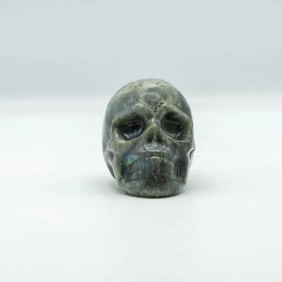 Polished Labradorite Skull