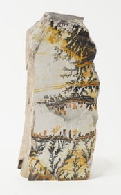 Huge Double-Sided Utah Dendrite