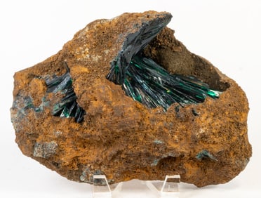 Ultra-Rare Ten Pound Vivianite Crystal Cluster
