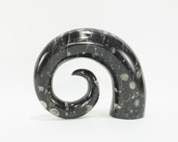 Carved Moroccan Orthoceras Fossil Horn