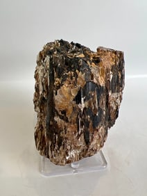 Black Tourmaline and Golden Mica Formation