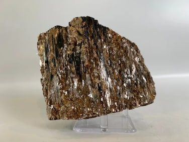 Black Tourmaline and Golden Mica Formation