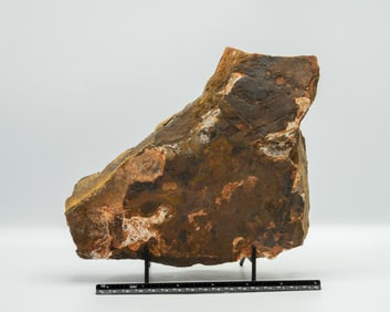 Unpolished Tiger's Eye Slab
