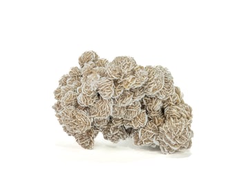 Desert Rose Selenite Formation