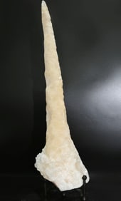 Remarkable Calcite Stalactite