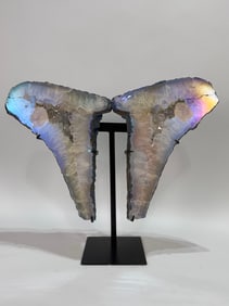 Titanium Aura Amethyst Geode Wings on Stand