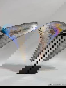 Titanium Aura Amethyst Geode Wings on Stand: Titanium aura amethyst geode angel wings on black metal stand. 17.5” x 20” x 6.25”. 28 pounds.