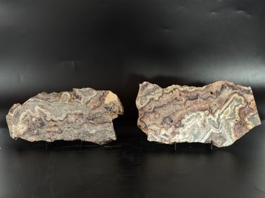 2 Crazy Lace Agate Slices