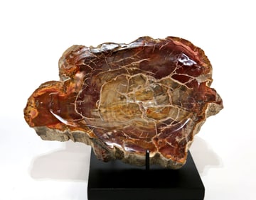 Petrified Wood Bowl
