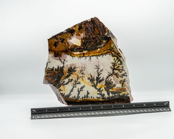 Large Utah Dendrite on Acrylic Base