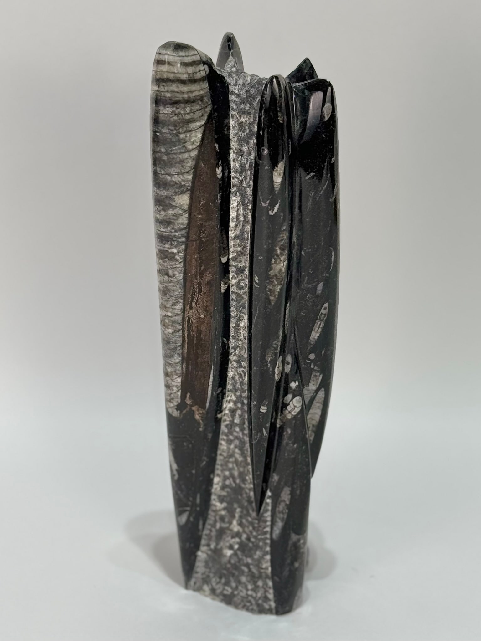 Orthoceras Fossil Tower (1 of 3)