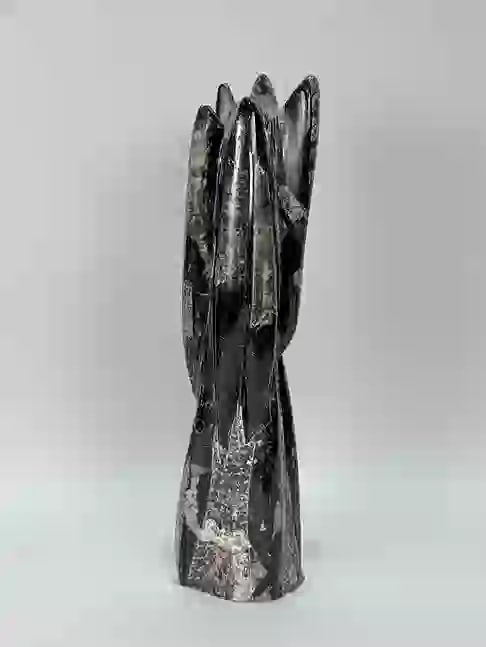 Orthoceras Fossil Tower (1 of 4)