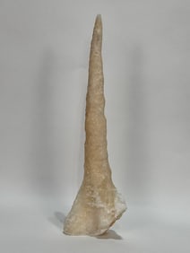 Remarkable Calcite Stalactite