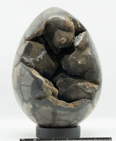 Large Septarian Dragon Egg Geode