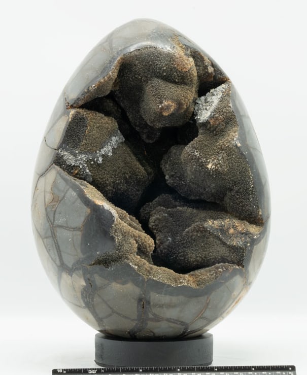 Large Septarian Dragon Egg Geode (1 of 2)