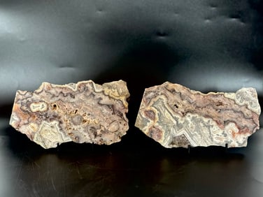 2 Crazy Lace Agate Slices