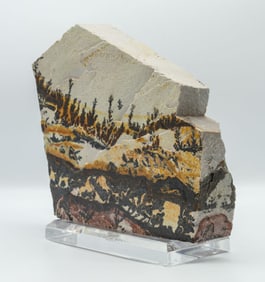 Large Double-Sided Utah Dendrite on Acrylic Base