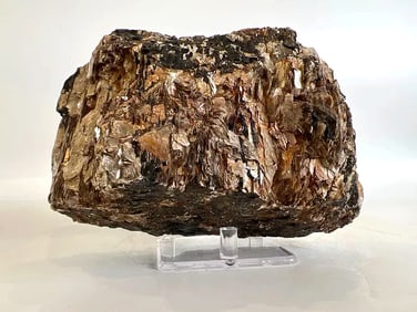 Black Tourmaline and Golden Mica Formation