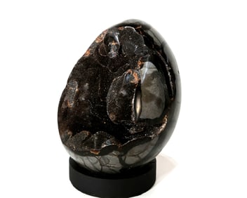 Septarian Dragon Egg Geode