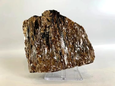 Black Tourmaline and Golden Mica Formation