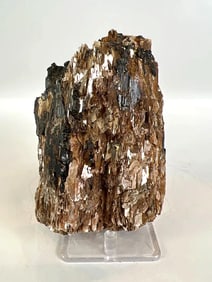 Black Tourmaline and Golden Mica Formation
