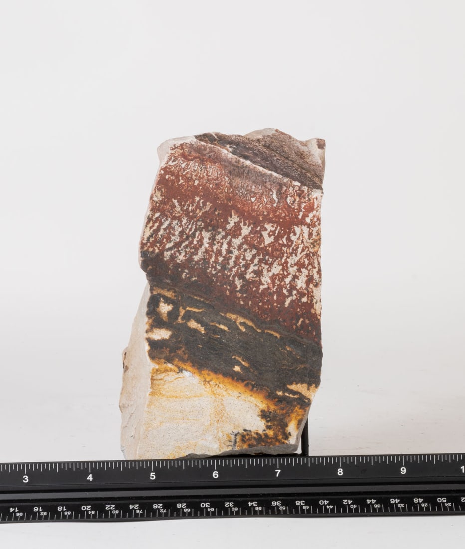 Utah Dendrite: Utah dendrite. 6" x 3" x 2". 2 pounds, 6 ounces.